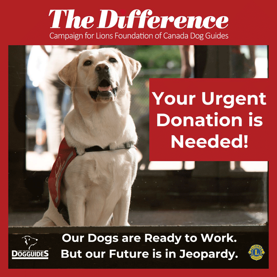 The Difference Campaign Donation Poster